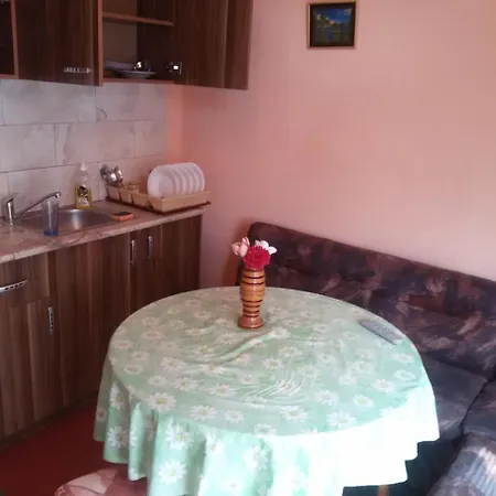 Guest Valcheva צרבו
